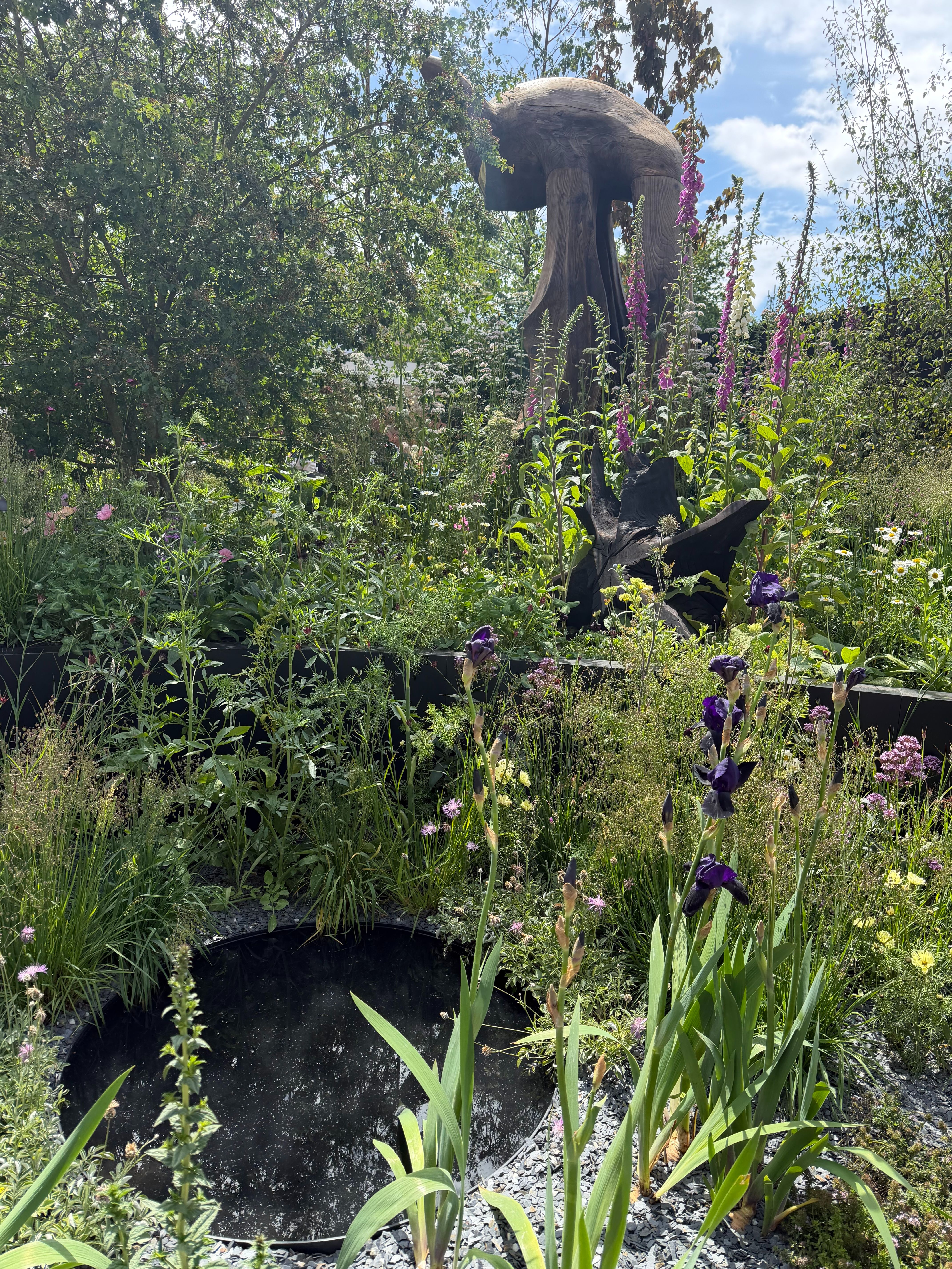 Messier Gardens are in!